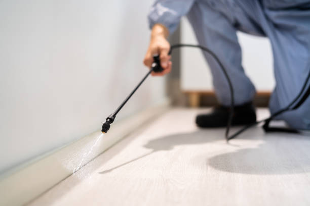 Certified termite inspector examining foundation in Meadowlakes